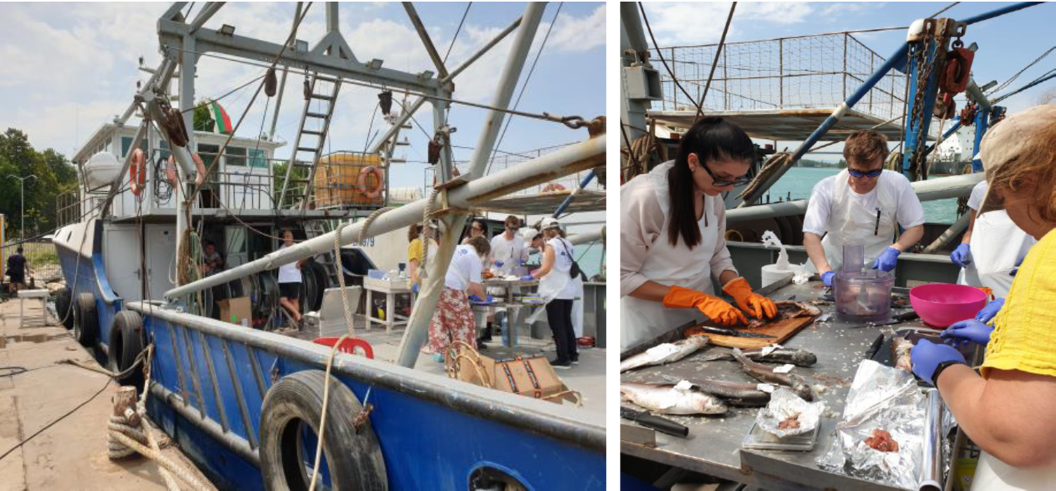 Trainees taking samples for analysis of pollutants 