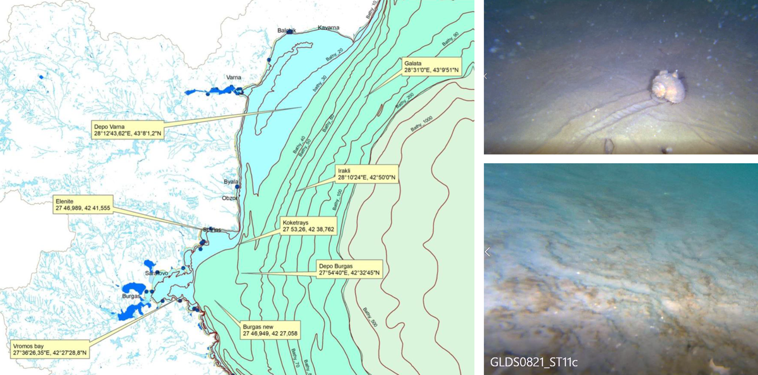 Video observations from sampled stations (SCIRENA project) 