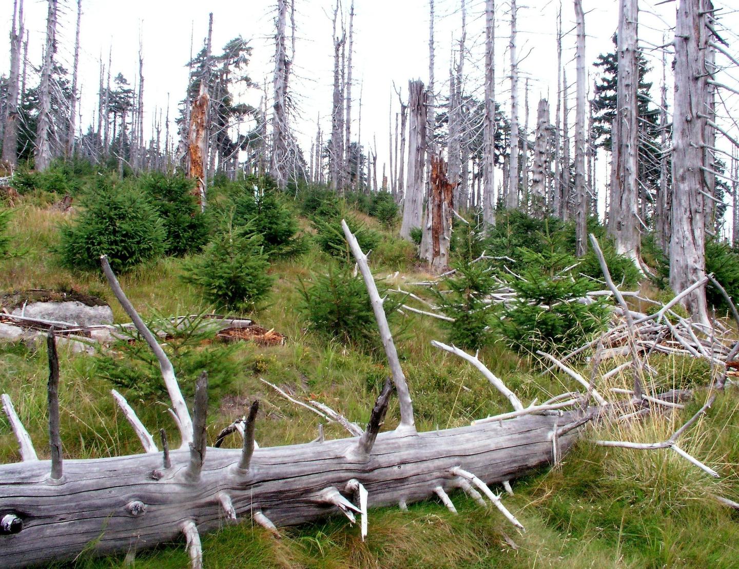 Adaptation to Climate Change - 1. Photo - FMO