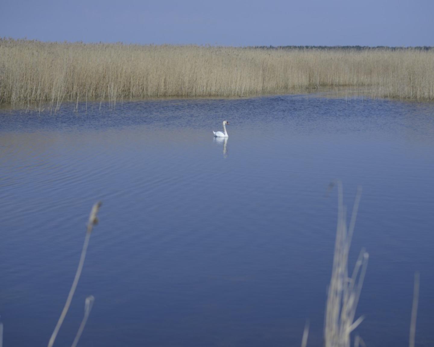 Image bank image 4280